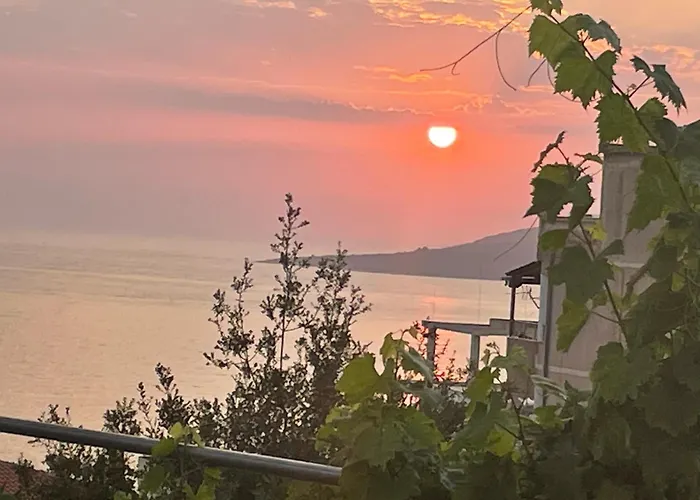 Beach hotel: Honey Guesthouse